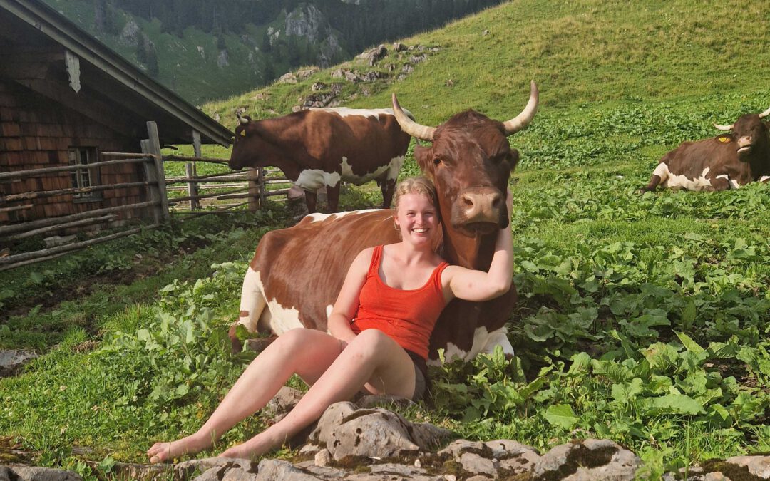 Marlene Stadler, kuscheln mit einem der Pinzgauer Rinder, als Sennerin im Sommer auf der Alm.