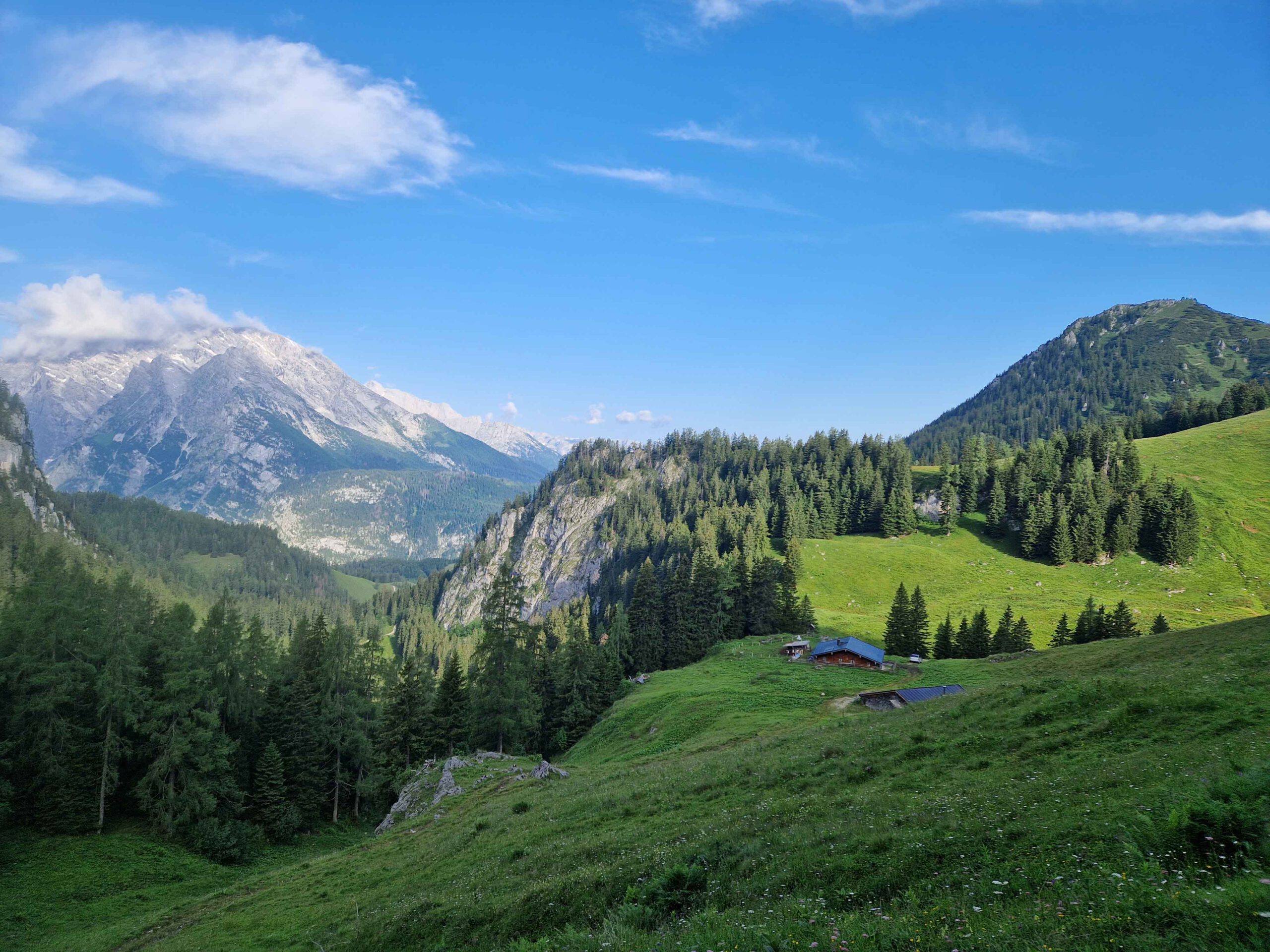 Marlenes Ausblick während ihrem Sommer auf der Alm. Traumhaftes Wetter in Berchtesgadener Berge und Blick auf den Watzmann und Co.